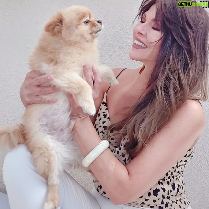 Aydan Şener - 12.5K Likes - İyi akşamlar..🐕❣💞🐕 #lui