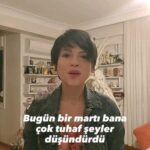 Aydilge Instagram – Bir garip martı hikayesi  Bana iyi geldi, umarım size de gelir🥰 #aydilge