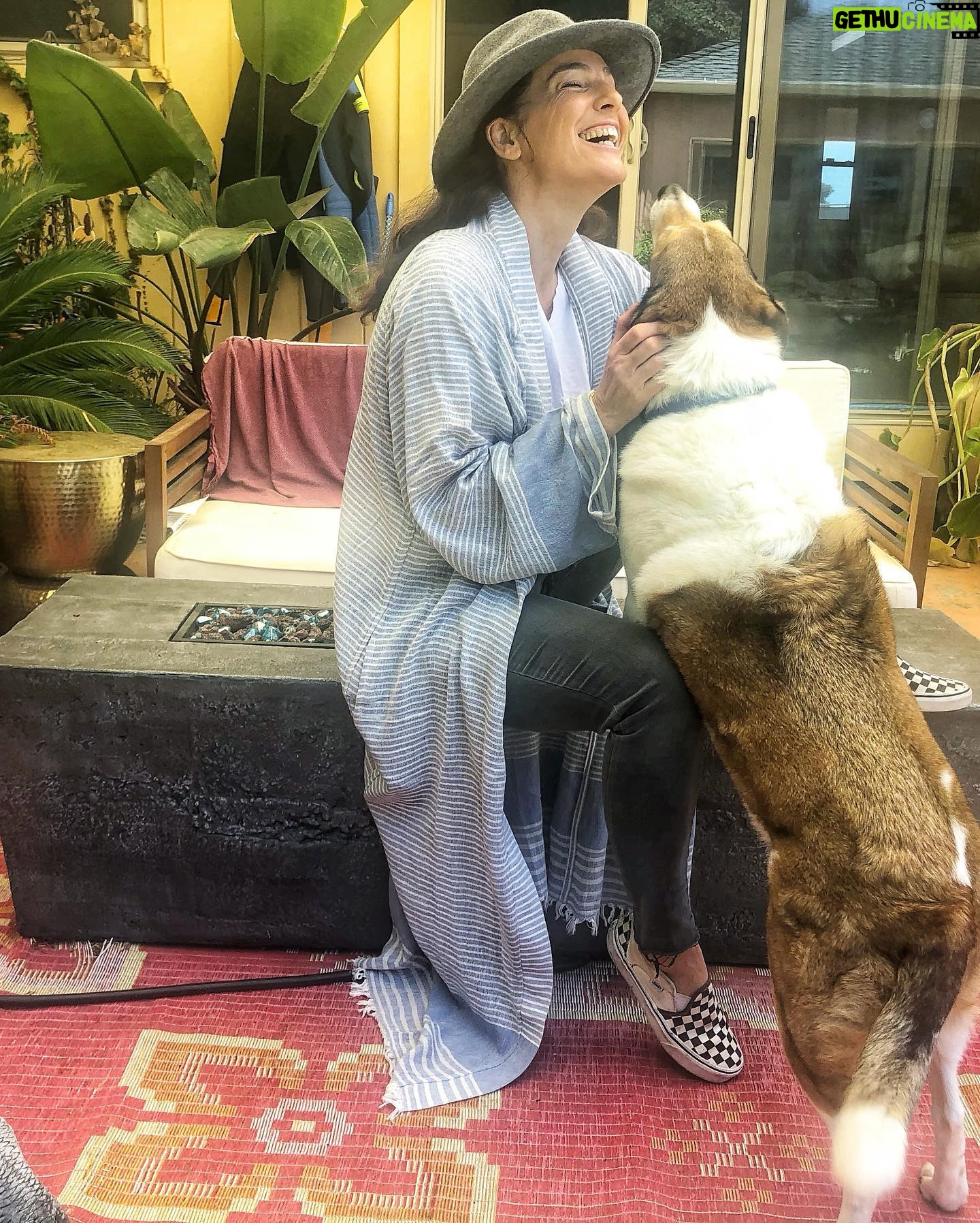 Ayelet Zurer - 3.2K Likes - כשכלב הולך לעולמו את מבכה לא רק את חייו אלא גם את חייך. רגעים שלא יחזרו, שעות יפות, רגעי קסם שהיו והפכו באחת לזיכרון. החיים עוברים כל כך מהר וערגה היא רגש שלא מניח.
נח בשלום כלבי היקר האהוב והיחיד במינו. החלילן מהמלין של הכלבים. באת לעולם הזה ללמד אהבה והצלחת. תשאר בליבי לנצח, דרך כל הזמנים, כל השמיים וכל העתים.
נח בשלום כלב יקר שלי, נשמה טהורה, חזרת לאחדות.
💔 #bestdogever
Beautiful dog, you were my friend, my guard, my armor at times. The Hamlin of dogs! Every child in the park knew and loved you, you healed those who feared dogs and made everyone happy. You were a joy and a gift in our lives, thank you my friend, my companion. I will love you forever