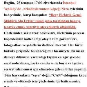 Aylin Aslım Instagram - Bu böyle devam edemez! Arkadaşım @deniz.senocakli nın canlar canı biricik  oğlu Nero’nun canını alan bu kişinin işlediği cinayet ve haneye tecavüz yanı kalmamalı. ARTIK YETER! Lütfen paylaşın.  Çok üzgünüm, çok.