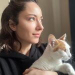 Ayşegül Akdemir