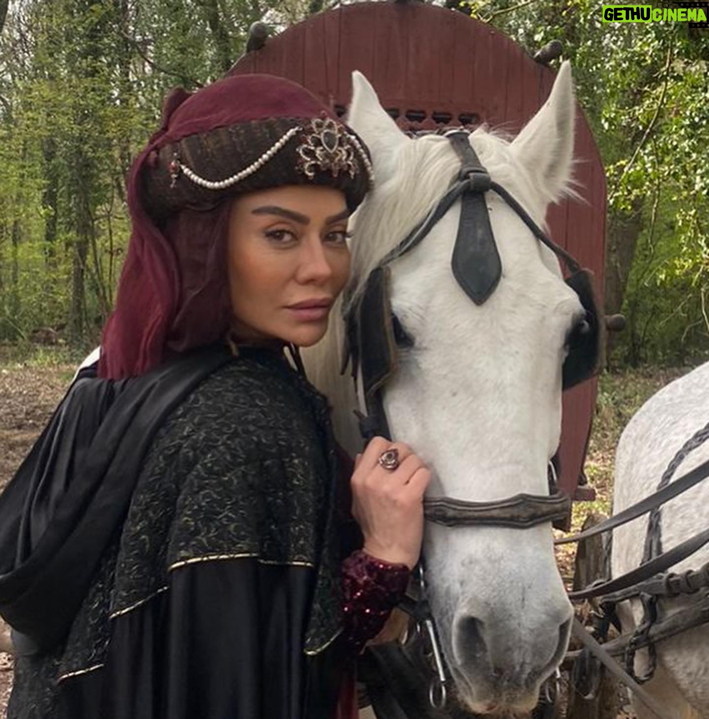 Ayşen Gürler - 2.7K Likes - Prensimi getireceklermiş … öyle dediler🙈