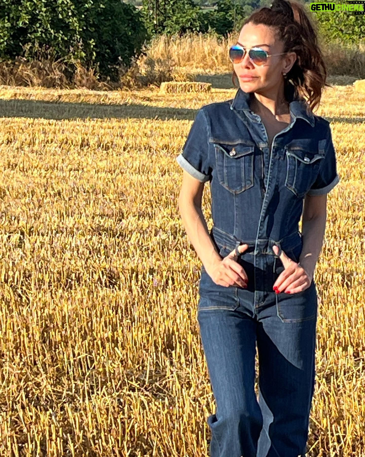 Ayşen Gürler - 3 Likes - 🌾🌾🌾🌾