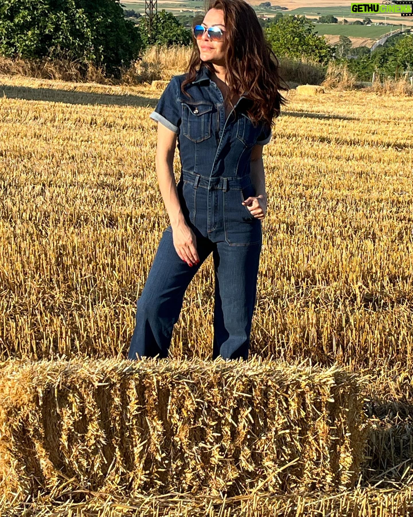 Ayşen Gürler - 3 Likes - 🌾🌾🌾🌾