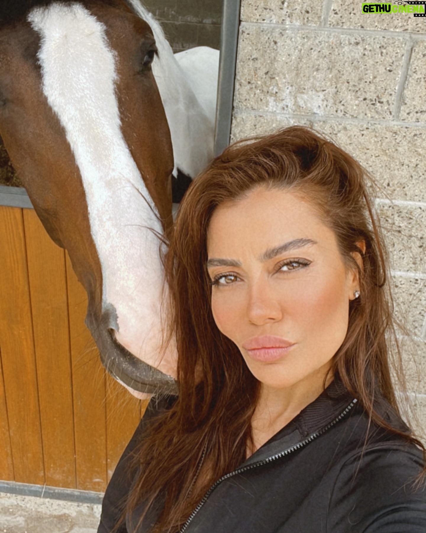 Ayşen Gürler - 3 Likes - Beyaz at’lı prens gelmedi dedim “tamam o iş bende” dedi 🤭