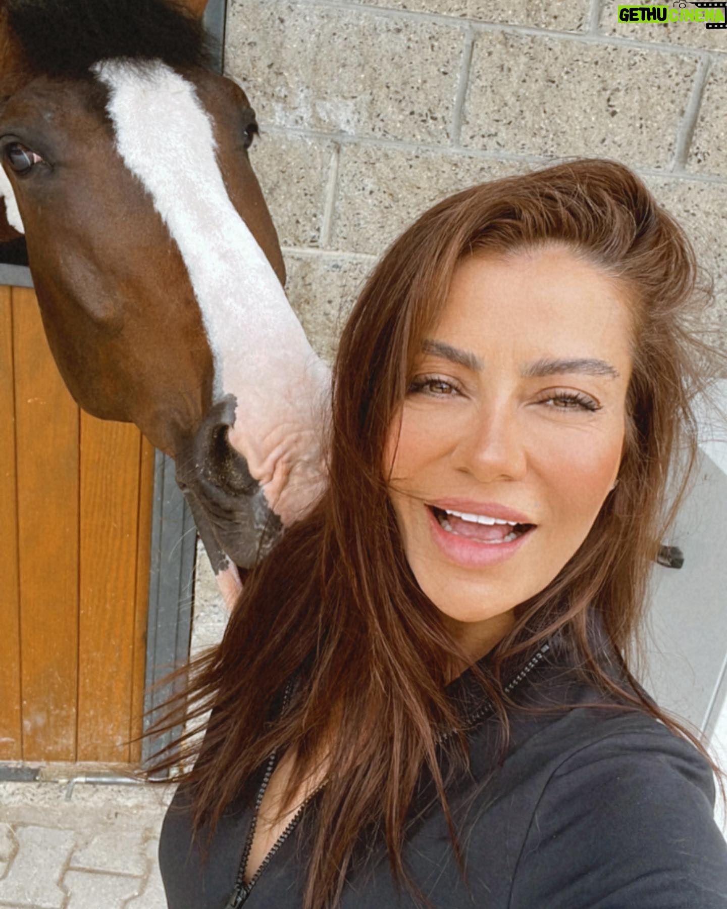 Ayşen Gürler - 3 Likes - Beyaz at’lı prens gelmedi dedim “tamam o iş bende” dedi 🤭