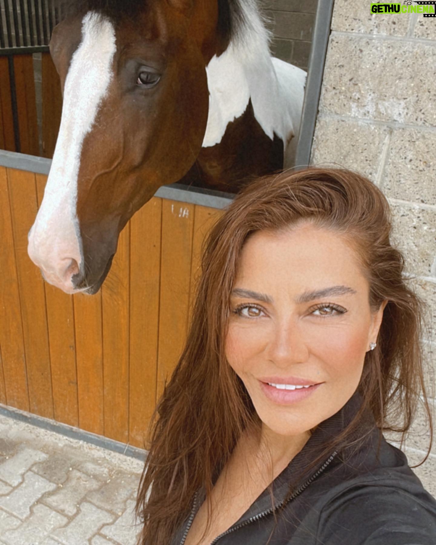 Ayşen Gürler - 3 Likes - Beyaz at’lı prens gelmedi dedim “tamam o iş bende” dedi 🤭