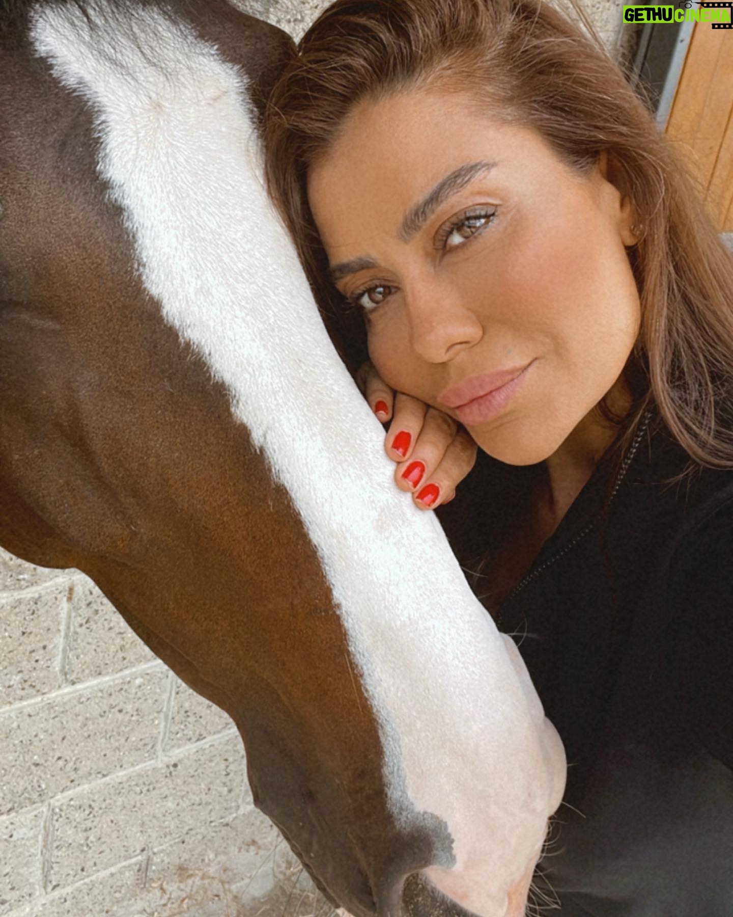 Ayşen Gürler - 3 Likes - Beyaz at’lı prens gelmedi dedim “tamam o iş bende” dedi 🤭