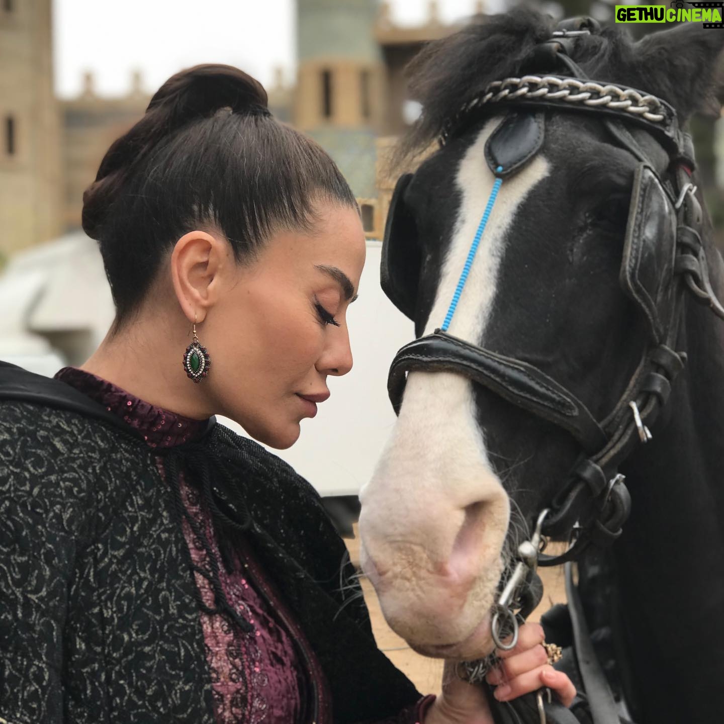 Ayşen Gürler - 2.3K Likes - 🤍