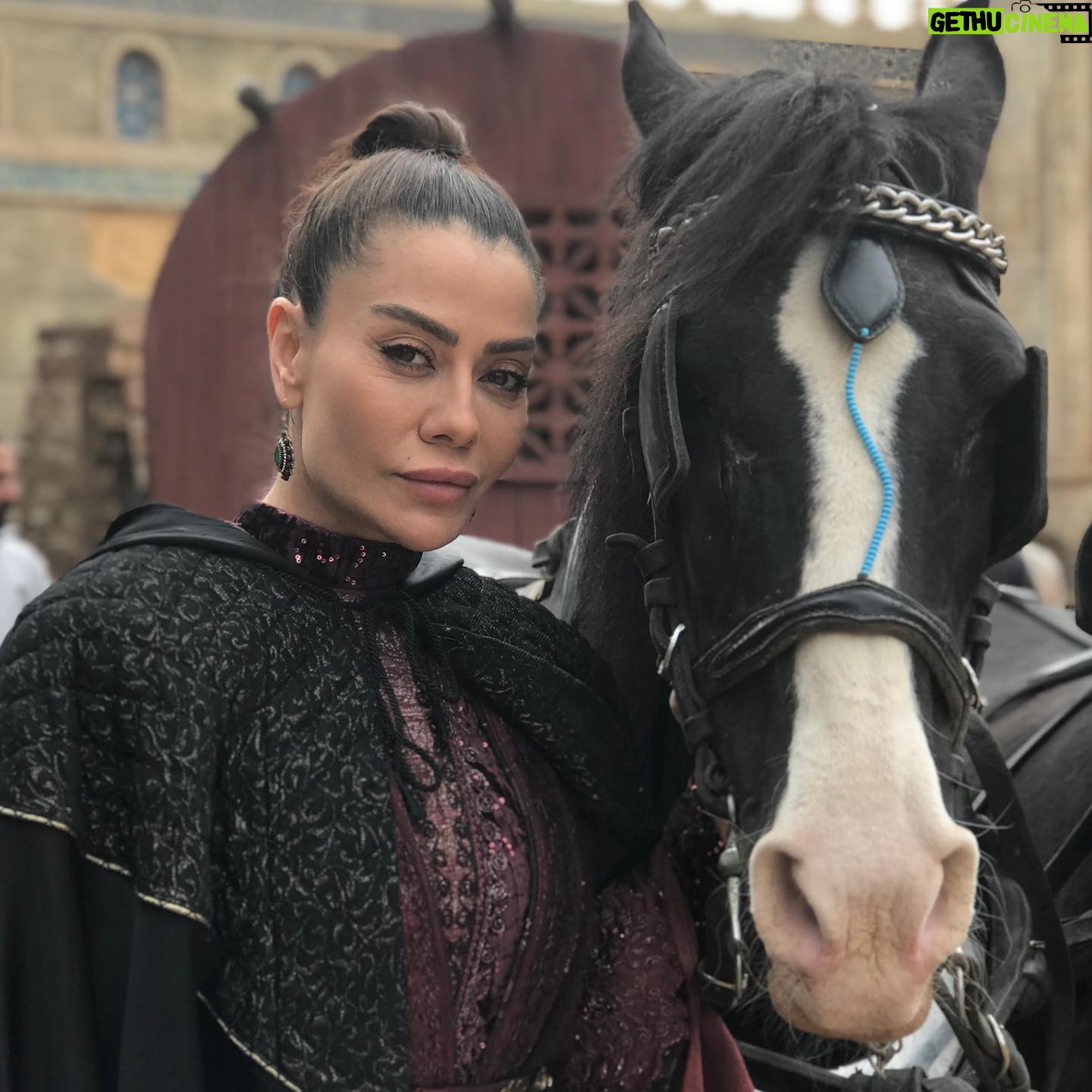 Ayşen Gürler - 2.3K Likes - 🤍