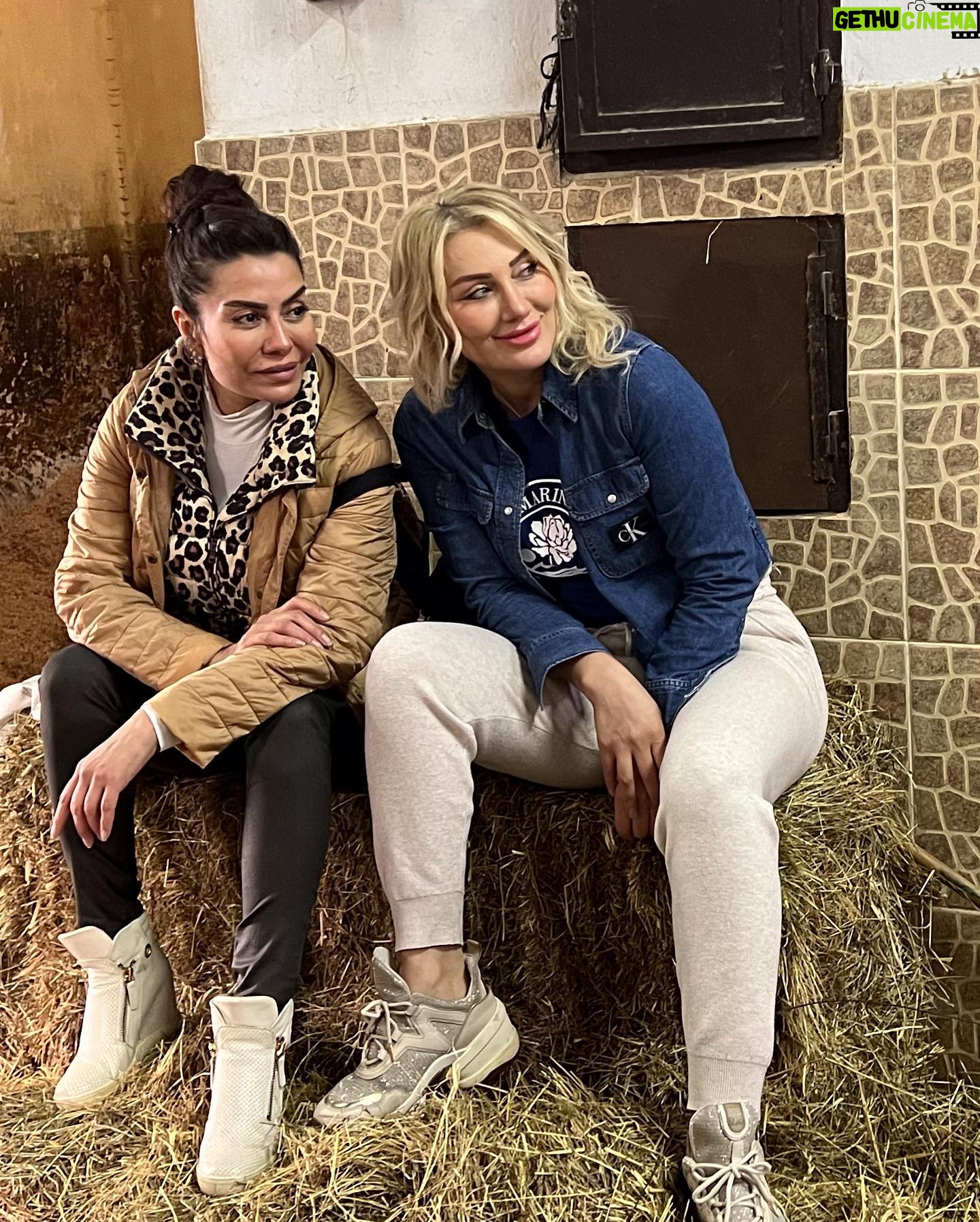 Ayşen Gürler - 3.1K Likes - Seçemedim 🤯