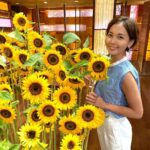 Ayumi Hirodo Instagram - 8月になりました🌻今日は女子高校野球、決勝の日⚾️ 夏といえばひまわり！ ひまわりといえば太陽！ 太陽といえば日差し！ 日差しといえば眩しい！ 眩しいといえば高校球児！ 高校球児といえば全力！ 全力といえば応援！ 応援といえば声援！ 声援といえばパワー！ パワーといえば夏の甲子園！ 夏が近づくとこんなことを考えてます． ちなみに、 ひまわりといえば黄色、黄色といえばタイガース🐯 こっちでもいけますね． 今月も熱中症にお気をつけてお過ごしください！ #ひまわり