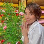 Ayumi Hirodo Instagram – #ヒロドのふく。
衣装情報をストーリーではなく投稿に残してほしいという声を半年前からいただき、半年かけて思い出して半年分をランダムに投稿します.半年の月日というもの、最初の写真と最後の写真見ると日焼け具合が全然違いますね〜半年かけてゆっくり光合成したのですね〜☀️これからもマイペースにあげてゆきます🦖
詳細は @stylist.m_
#スアちゃん12セーブ目 🐯