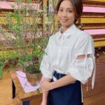 Ayumi Hirodo Instagram – #ヒロドのふく。
衣装情報をストーリーではなく投稿に残してほしいという声を半年前からいただき、半年かけて思い出して半年分をランダムに投稿します.半年の月日というもの、最初の写真と最後の写真見ると日焼け具合が全然違いますね〜半年かけてゆっくり光合成したのですね〜☀️これからもマイペースにあげてゆきます🦖
詳細は @stylist.m_
#スアちゃん12セーブ目 🐯