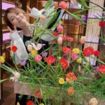 Ayumi Hirodo Instagram – #ヒロドのふく。
衣装情報をストーリーではなく投稿に残してほしいという声を半年前からいただき、半年かけて思い出して半年分をランダムに投稿します.半年の月日というもの、最初の写真と最後の写真見ると日焼け具合が全然違いますね〜半年かけてゆっくり光合成したのですね〜☀️これからもマイペースにあげてゆきます🦖
詳細は @stylist.m_
#スアちゃん12セーブ目 🐯