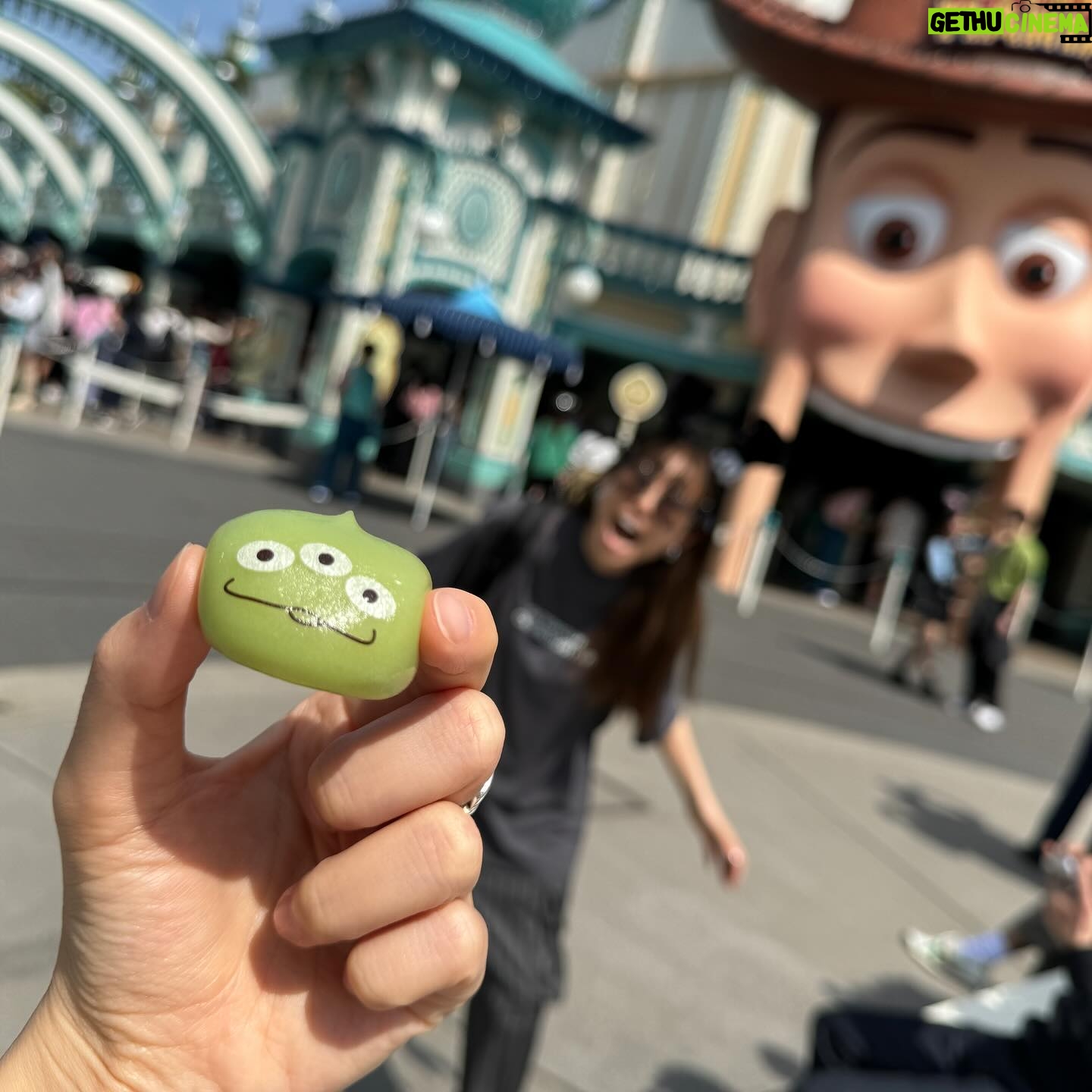 Ayumi Hirodo Instagram - 中2日くらいでディズニー行く人と中何年くらいぶりにディズニー行く人が一緒だったとしても、楽しい場所でした✨🏰 若槻さんが一週間前からスケジューリングを計画してくれて、散歩の時間も作ってくれて、ランチも予約してくれました、、、だから少しでも役に立ちたくて並んでる時に何度も「グミいります??」って言っても全部断られたのは、いい思い出✌️ このクラスになると、1人で園内の人に手を振るんだな〜って勉強になった✌️トラを見つけると走っていっちゃうのは仕方ないです🐯 また連れて行ってくれますように。 #夢の国