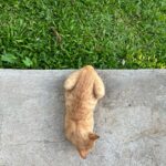 Azi Acosta Instagram - Loaf check