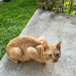 Azi Acosta Instagram - Loaf check