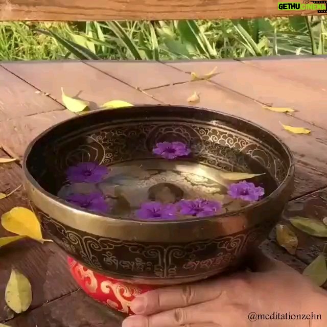 Azita Torkashvand Instagram - هفتاد و پنج درصد بدن ما از آب تشکیل شده خوب🤔 حالا یک صفحه گیتار رو در نظر بگیرید که روی آن آب بریزید و وقتی به سیم گیتار ضربه بزنید آب روی صفحه مانند یک موج حرکت میکند و به شکل های مختلف در میاد☺ تارهای صوتی ما هم با آب درون بدن هم همینطور عمل میکنه 🥰 پس جملات مثبت و سازنده باعث تغییر شکل مولکول موجود در بدن میشه .مثبت اندیشی امید انگیزه به خودمون بدیم و امواج و الکترو مغناطیس اطراف بدن رو مثبت کنید. #مثبت_اندیشی #آگاهی #آرامش_مهمان_هميشگى_قلب_مهربونتون🐬🎣🐬🎣🐬🎣🐬🎣🐬🎣🐬🎣 #الکترومغناطیس #سلامت_روانی #انگیزشی