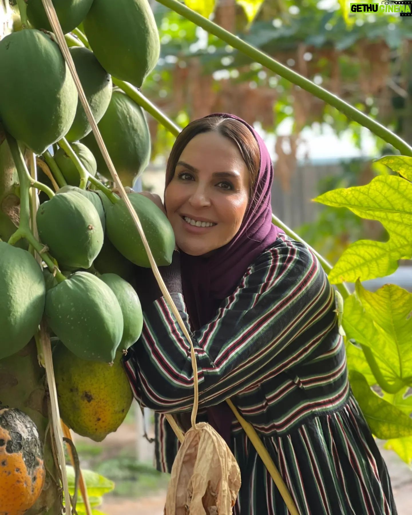 Azita Torkashvand Instagram - به خط استوا که رسیدم لبخند فرضی زدم و جهان را تنها به یک بخش و آن هم به نیکی تقسیم کردم، در جهان من همه چیز نیکوست🥰