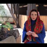 Azita Torkashvand Instagram – پیشاپیش چهارشنبه سوری این سنت و آیین ایرانی مبارک باد.
تصمیم گرفتم این کلیپ رو تهیه کنم و زودتر با شما عزیزان به اشتراک بزارم .
تا شاید بیشتر مشتاق بشید و در مورد سنت دیرین چهارشنبه سوری تحقیق کنید و لذت ببرید .

🥰به طور مثال قاشق زنی،اهالی محله چادرهای رنگی بر سر می کردند و در یک دست قاشق فلزی و در دست دیگر کاسه روحی و آنها را بهم می زند و به درب خانه ها رفته و صاحب خانه با شنیدن صدای قاشق زنی که نویدی از عید و اعلام شب چهار شنبه سوری می باشد با شیرینی و شکلات قاشق زن را پذیرایی می کرد و شعر و آواز مربوط به رسم قاشق زنی در محل خوانده می شد و پریدن از روی آتش و شادی.
 آیین و سنتی های ما ریشه در فرهنگ و تاریخ غنی ما دارد با همان صفا و سادگی ایرانی.ما ملتی تمدن ساز هستیم
#چهارشنبه_سوری #قاشق_زنی_چهارشنبه_سوری 
#بهار #آزیتا_ترکاشوند