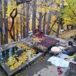 Azita Torkashvand Instagram - امروز شکر گزار خدا بودی؟ امروز برای رضای خدا چه کردی؟ امروز برای شکرانه دیدن طلوعی دیگر،سلامت بودنت،نفس کشیدن ،دیدن عزیزانت ،و...شکر کردی؟ 🙏🙏 بار پروردگارم.چه دستی را سوی تو بلند کنم و شکر کنم،دستی که تودادی؟با چه پای قدم در راه خیر بگزارم پاهای که تو دادی،از چه مالی بخشش کنم روزی و برکتی که تو عطا کردی؟با چه زبانی دلی را خشنود کنم؟کلامی که تودادی؟با چه چشمی اشک شکر بریزم و ثنایت به جای آورم چشمی که تو دادی ؟با چه قدرت و جایگاهی خدمتگزار مردم باشم؟مقامی که تو عطا کردی (هر آنکه را خواهی عطا میکنی،که تو چیزی میدانی که من نمیدانم) #خدایا_دوستت_دارم_عاشقانه_آگاهانه #آرامش_مهمان_هميشگى_قلب_مهربونتون🐬🎣🐬🎣🐬🎣🐬🎣🐬🎣🐬🎣 #نیایش #رازونیازباخدا #صحیفه_سجادیه #آگاهی_معنوی #آزیتا_ترکاشوند