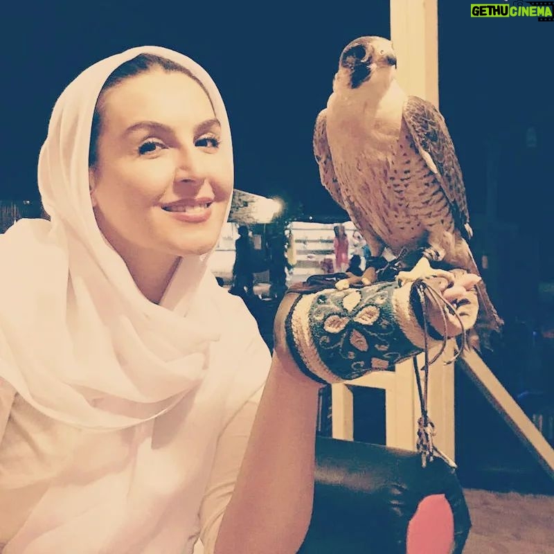 Azita Torkashvand - 7.8K Likes - میان "پرواز تا پرتاب"
تفاوت از زمین تا آسمان است
پرواز که کنی،آنجا میرسی
که "خودت" میخواهی...
پرتابت که کنند،
آنجا میروی که
"آنان" میخواهند،
پس *پرواز* را بیاموز...
#آگاهی
#بصیرت
#آرامش_مهمان_هميشگى_قلب_مهربونتون🐬🎣🐬🎣🐬🎣🐬🎣🐬🎣🐬🎣
#هنر_زندگی
#آزیتا_ترکاشوند
#خدایا_دوستت_دارم_عاشقانه_آگاهانه