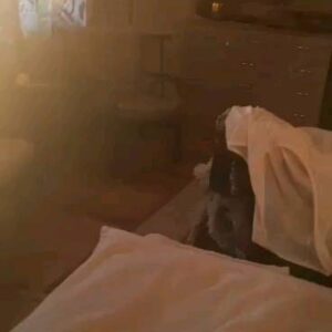 Aziza Instagram - Иногда состояние  одиночества  просто  необходимо . На какое то время  судьба остановит тебя, чтобы  дать понять и осознать... В погоне за чем то или  кем то,  зне забыла ли ты о себе? О той девочке, которая живет в каждой твоей клеточке. И не смотря на цифры указанные в паспорте все еще верит в сказки, верит в добро. Не смотря на предательства , верит в людей, не смотря на разочарования и потери, все еще хранит в раненном сердечке место для любви и нежности. А иногда, забыв про боль в душе танцует, поет , празднуя эту жизнь со всеми ее плюсами и минусами. Для этого  быть может и создается  Богом оно. Одиночество,  чтобы вспомнить ту девочку, которая  часто смотрела на небо и разговаривала с Настоящими звездами, луной  и солнцем. Загадывала желания и верила в их исполнение. Только по настоящему познав одиночество изнутри , можно и нужно вспомнить о себе . Попросить прощения у той крохи за то, что забыли о ней. За то, что так долго, а может и всю жизнь жили для других. Забыв о своих маленьких мечтах. Мне родители не разрешали например заводить ни кошек, ни собак. Теперь у меня их шестеро. Две собаки и четыре кошки. Вспомните,  а что  хотели  вы? Но будучи  маленькой  девчонкой,  зависели от семейного бюджета или установок и порядка своих родителей.  Бегите в магазин и купите  в первую очередь Ей, даже, если вам взрослой и раскошной женщине этого давно  уже не надо.  Например  килограмм конфет . От которых вы теперь просто
 боитесь поправиться. Купите конфеты в самых ярких обертках , не ешьте сами, 
 зделайте из них фантики. Меня в детстве не баловали часто конфетами, но у меня в карманах всегда  были шуршащие, цветные фантики, котооые я коллекционировала или обменивала на другие пустые этикетки  от любимых конфет.А баночки от цветных леденцов?  Не знаю, толи, от осенней погоды, толи от дождя падающего с хмурого неба, но мне хочется плакать. Я вспоминаю себя. Настоящую,искреннюю, чистую и веселую  девочку  Азизку ,  которую не смотря ни на что  сохранила в себе  себя. Женщины,  Не бойтесь одиночества. Иногда оно может сослужить вам добрую услугу. Посмотрите в зеркало  и подмигните той девочке, которая все еще  с надеждой смотрит в ваши глаза и  ждет вашей улыб