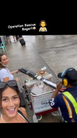 BB. Gandanghari Instagram - #RescueDog: Siargao Airport, 17:00h, Mar 16, 2023🛬🐶
.
The search is on❣️💯
.
#BBGandanghari #Siargao #IslandDogs #RescueMe #EmotionalSupport #EmotionalHealing #FurMama #FurBaby 💞🐕