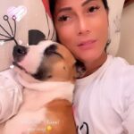 BB. Gandanghari Instagram - #MorningAfter: Welcome to my life, Bogart…💞❣️ . After grooming was the first night we actually slept together, and right there I felt the most connection, he slept near my heart the entire night and it’s the most relaxing sleep I had during my entire stay in Manila. Precious… and I thank the Lord for letting me feel that kind of #love, #joy and #peace. 🙏🐶 . We maybe physically apart for now, it will not be for long… so help me God🙏😔 . #BBGandanghari #BBG #Bogart #FurFam #Furmama #Furbaby #Rescuemom #RescueDog #EmotionalSupportAnimal #AdoptionProcess 😔