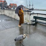 Başak Daşman Instagram – ikimiz de bir şeyler bekliyor.. ikimiz de manzaranın keyfini çıkarıyoruz 🦩💕

#netherlands #volendam #hoorn