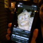 Bab Buelens Instagram – random amsterdam kiekjes 🏙️
