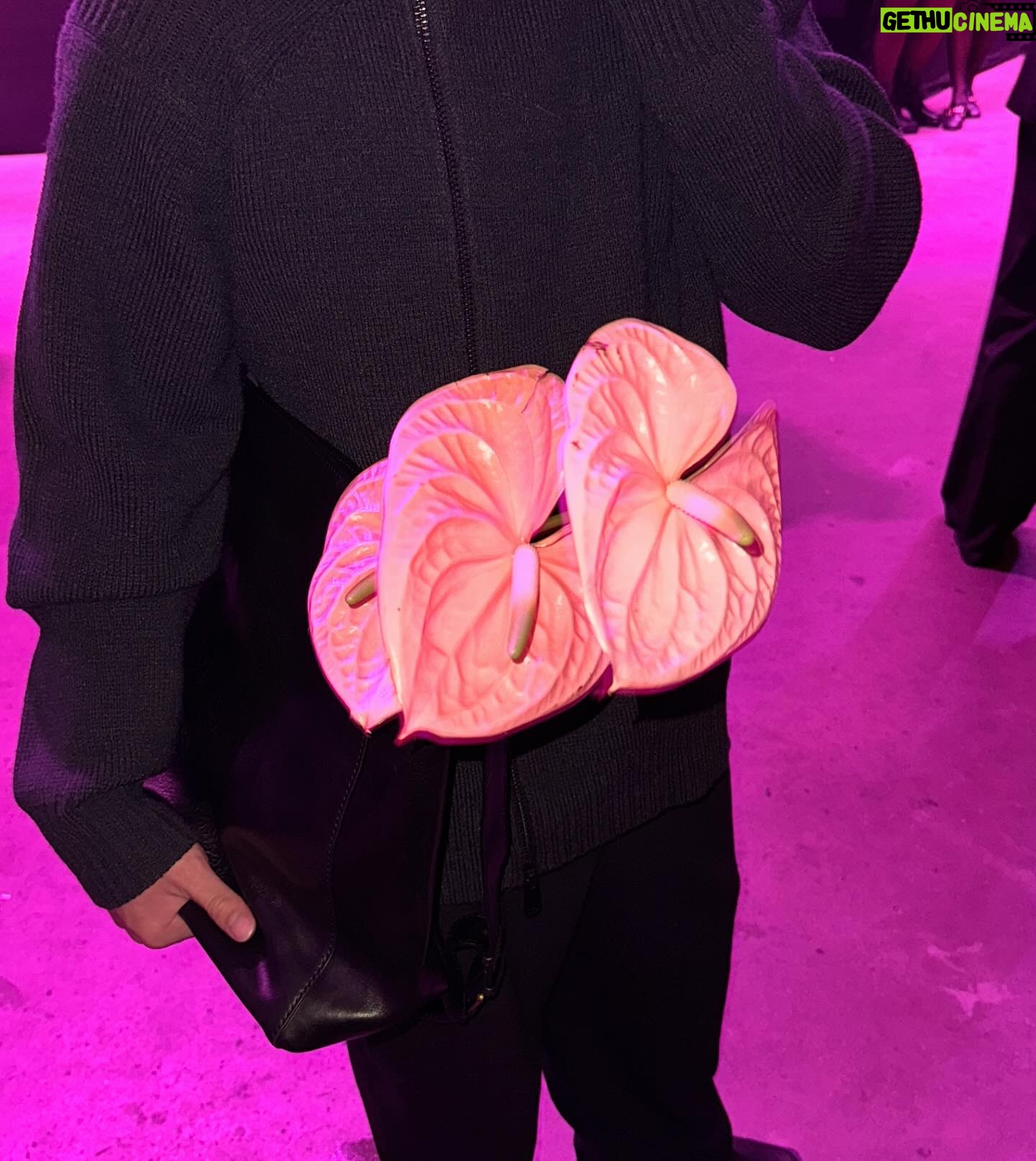 Bab Buelens Instagram - yesterdayevening at the @hunkemoller show (invited therefore advertisment) 💗