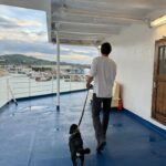 Bab Buelens Instagram – first time i slept on a ferry ⛴️ (i do get seasick sometimes & i’m not a big fan of big boats so felt a bit tense at first but ended up loooooving it (probably also thx to motion sickness pills) and had such a great night of sleep together in our tiny cabin 🐕‍🦺👫 if you don’t expect a cruise when taking the ferry: 10/10 would recommend)
