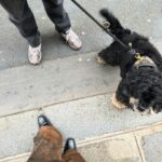 Bab Buelens Instagram - muž & chewie came to visit me in paris 🤍🤍🤍 heart is full
