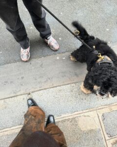 Bab Buelens Instagram - muž & chewie came to visit me in paris 🤍🤍🤍 heart is full