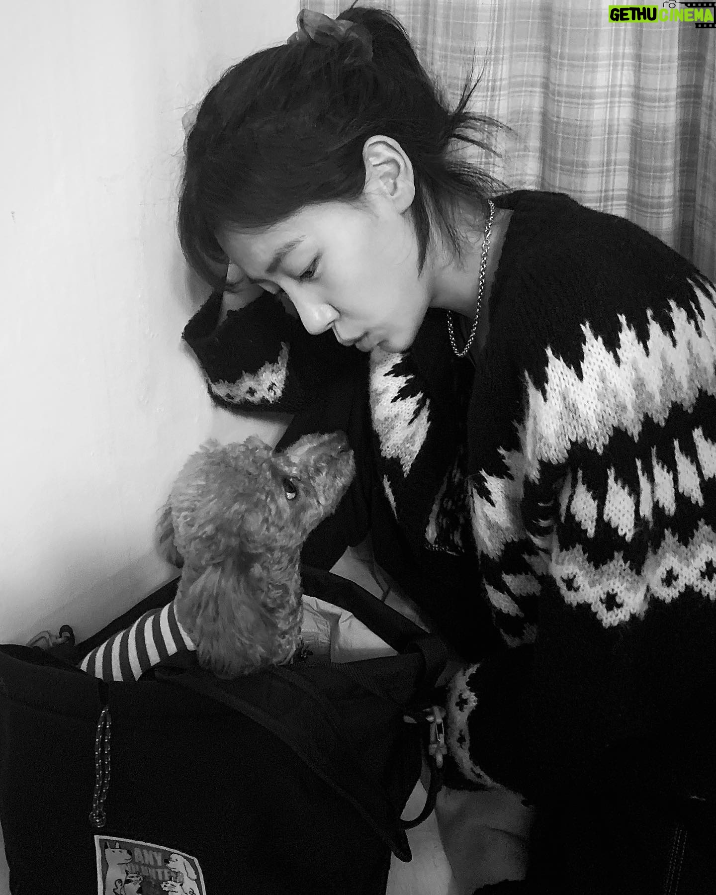 Bae Da-bin - 5.1K Likes - 봉사자들을 위한 가방 #발룬티어링백
동물 친구들이 따듯한 겨울을 보낼 수 있기를 바라며
마음을 보태 봅니다🐶🤎🐶