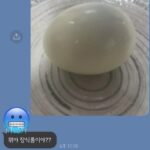 Bae Woo-hee Instagram - 계란 하나로는 안되나요..?🥚🍳 으랏차차..