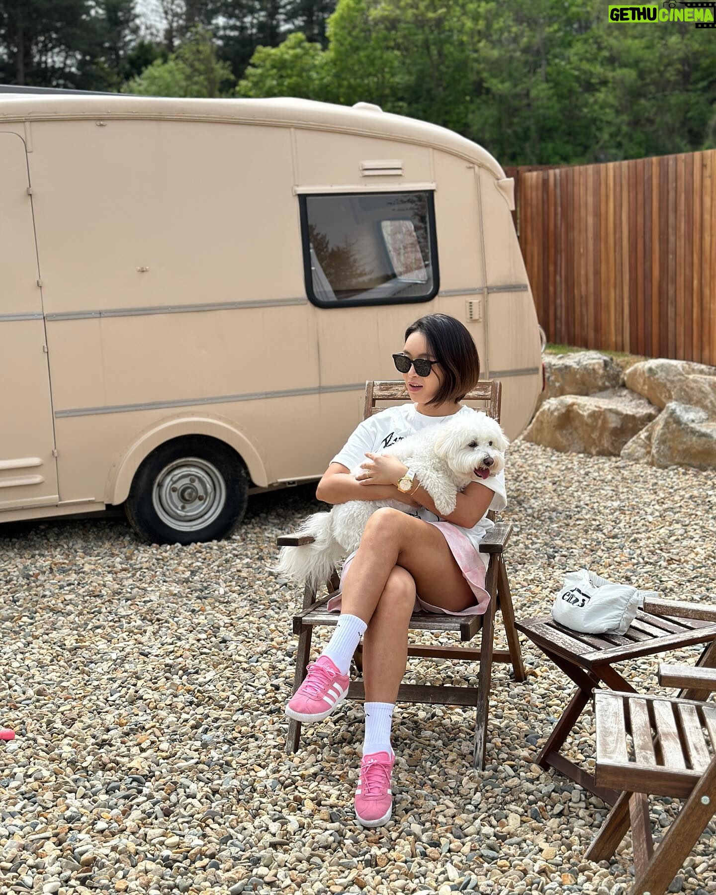 Bae Yoon-jung Instagram - 여름 필수아이템 선글라스🕶️ 저 선글라스 진짜많은디유 막 자주안쓰게되더라구여? 근데 이건 진짜 가볍기도하고 엄청쓰고다니게되용🫣 가격.디자인.간지 다잡은선글라스 찾기쉽지않아요 자외선100% 차단에 눈보호까지‼️ 그 누가써도 이상하게 잘어울리는 스페쿨룸👍 이가격에 아마 매일뽕빼실거에요😉 커플템으로도 추천합니다잉🩶 @bbaeeonni_shop