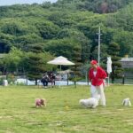 Bae Yoon-jung Instagram - 개모임🐶🐕 어머 나 뱃살ㅋㅋㅋㅋ🫣 . . #몽글브라운