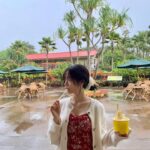 Bae Yoon-kyung Instagram - 흐린 우기 하와이🥲🌧️