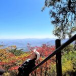 Bae Yoon-kyung Instagram - 🍁🍂🏔🐾