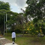 Baek Jin-hee Instagram – 🌴🌴🌴🌴