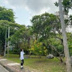 Baek Jin-hee Instagram – 🌴🌴🌴🌴