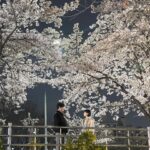 Baek Jin-hee Instagram - 태경&연두🌸🌸🌸