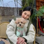 Baek Jin-hee Instagram - 🤎ʕ•ᴥ•ʔ🤎