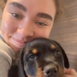 Bailey Bass Instagram – Meet Sasha!!!🌸
We’re officially a 3 dog family. After getting Chase (our 80lb Blue Nose XL Bully) we fell in love with big dogs. Now we have a Rottweiler!!!! 🤍🤍🤍
#rottweiler #puppy