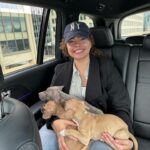 Bailey Bass Instagram - 🌸all pups are adopted🌸 Fun news!!💫🫧🤍☁️ I’m fostering again. If you’ve been following me since I’ve filmed @avatar in 2016, you know I loved fostering dogs. It’s such a beautiful process between these pups and their forever home. I’m just happy me and my family get to take care of them in the interim. Contact @waldosrescue if interested in these adorable 8 week old pit mix pups🤍🤍🤍 Thanks to @desetsx and @jchambers623 for the connect!! #fosteringfamily #adopt