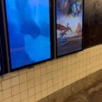 Bailey Bass Instagram - A literal dream come true. Growing up taking the subway to modeling jobs w/ Babulya, I dreamed of one day being on one of the various movie ads plastered on the walls of each stop. To me, taking the train was…and still is so magical. This moment is so special to me. Seeing the Avatar TWOW poster never gets old. Although some of the standard posters have been replaced by digital screens, this moment is still so so special. This also happens to be perfect timing because Avatar The Way of Water can now be streamed on Disney !!!! 💙🐚🌱🤍 #tsireya #avatarthewayofwater