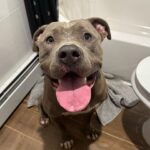Bailey Bass Instagram - Doggos and views and Disney and fun and smiles and chill🤍🤍🤍